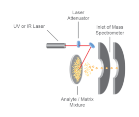 Matrix-assisted laser desorption/ionization (MALDI)